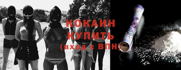 ГАЛЛЮЦИНОГЕННЫЕ ГРИБЫ Аркадак