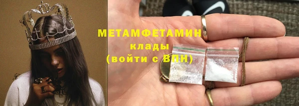 ГАЛЛЮЦИНОГЕННЫЕ ГРИБЫ Аркадак