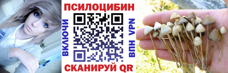 Галлюциногенные грибы Psilocybe  купить наркотик  Кувшиново 
